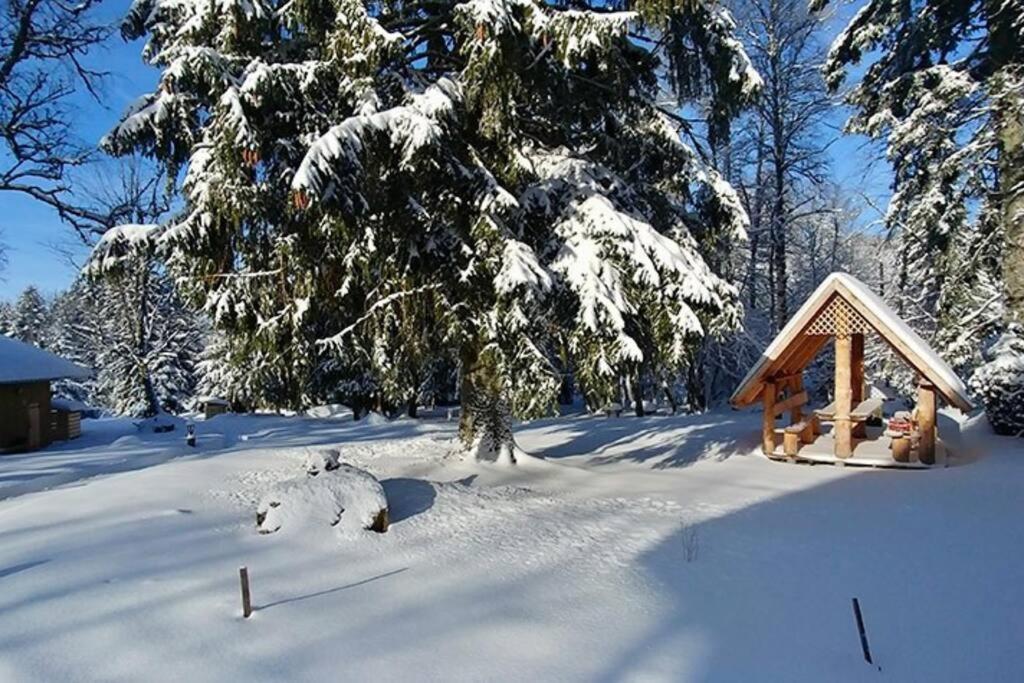 Le Petit Loup, Appartement Neuf Avec Jardin Gerbépal المظهر الخارجي الصورة